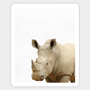 Rhinoceros print, African Safari, Nursery decor, Animal, Kids room, Modern Wall Sticker